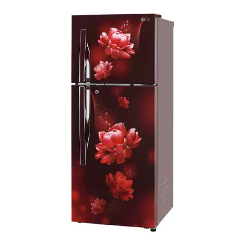 LG 260 L Frost Free Double Door 2 Star Convertible Refrigerator - GL-S292RSCY - James & Co