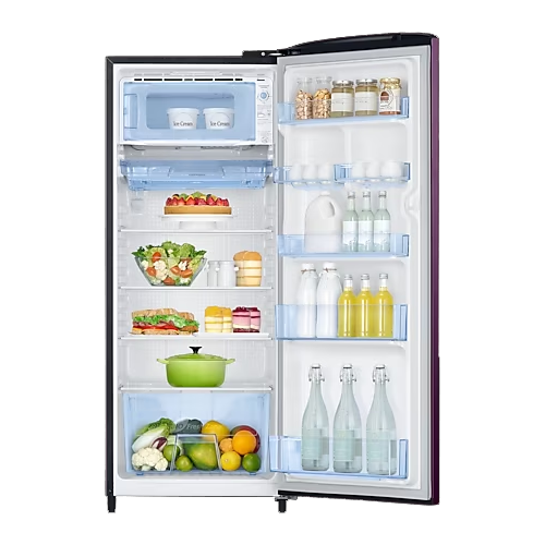 Samsung 223L 3 Star Single Door Refrigerator - RR24C2723CR/NL