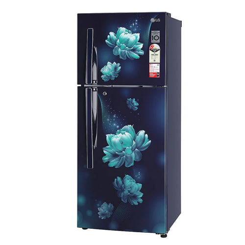 LG 260 L 2 Star Double Door Refrigerator - GL-S292RBCY
