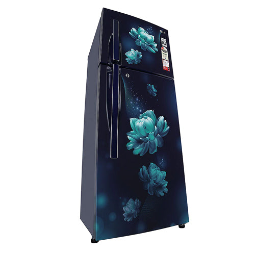 LG 260 L 2 Star Double Door Refrigerator - GL-S292RBCY