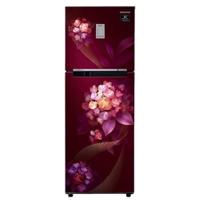 Samsung 236L 2 Star Inverter Frost-Free Convertible 3 In 1 Double Door Refrigerator (Hydrangea Plum 2023 Model)