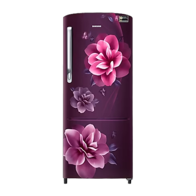 Samsung 223L 3 Star Single Door Refrigerator – RR24C2723CR/NL