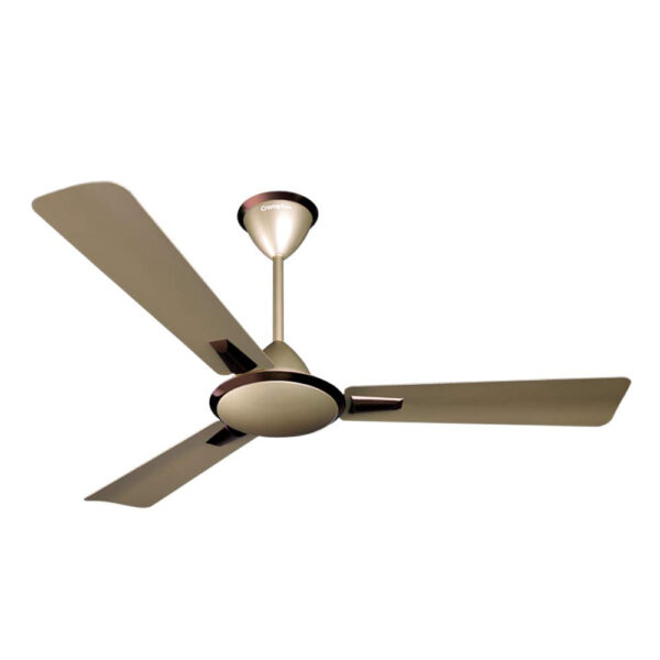 Crompton Aura Prime 1200 mm (48 inch) Decorative Ceiling Fan with Anti Dust Technology (Birken Effect)