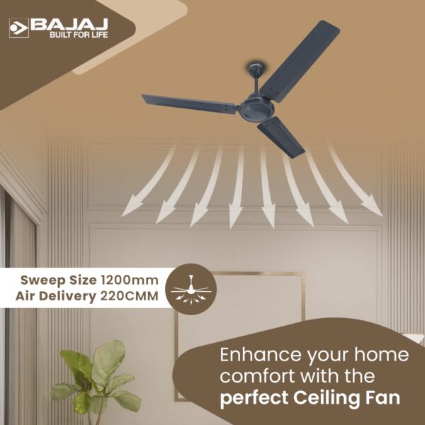 Bajaj Classico 12S1 1200mm Marathon Blue & Coal Mine Grey Ceiling Fan - Image 4