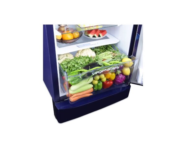 Godrej 240 Ltr 3 Star Direct Cool Single Door Refrigerator Marine Wine (RD EDGEPRO 255C 33 TAI MN BL) - Image 6