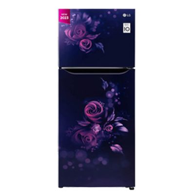 LG 242 L 2 Star Smart Inverter Frost-Free Double Door Refrigerator – GL-N292BBEY