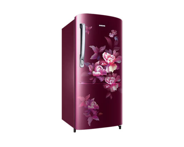 Samsung 183L Stylish Grandé Design 4 Star Single Door Refrigerator RR20C1724HN - Image 3