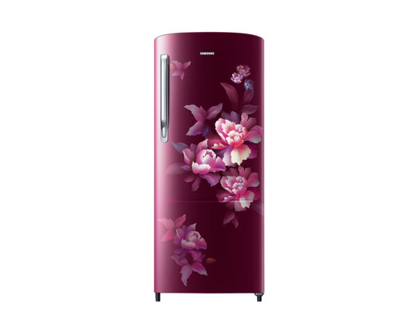 Samsung 183L Stylish Grandé Design 4 Star Single Door Refrigerator RR20C1724HN - Image 2