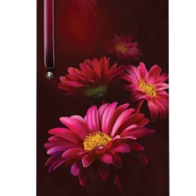 HAIER REFRIGERATOR – HRD-2103CRH-P