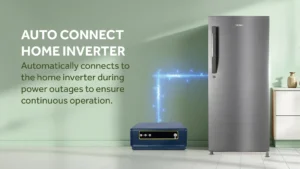 W020250811776299188128